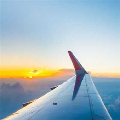 アルミニウム合金ウイングベアリング